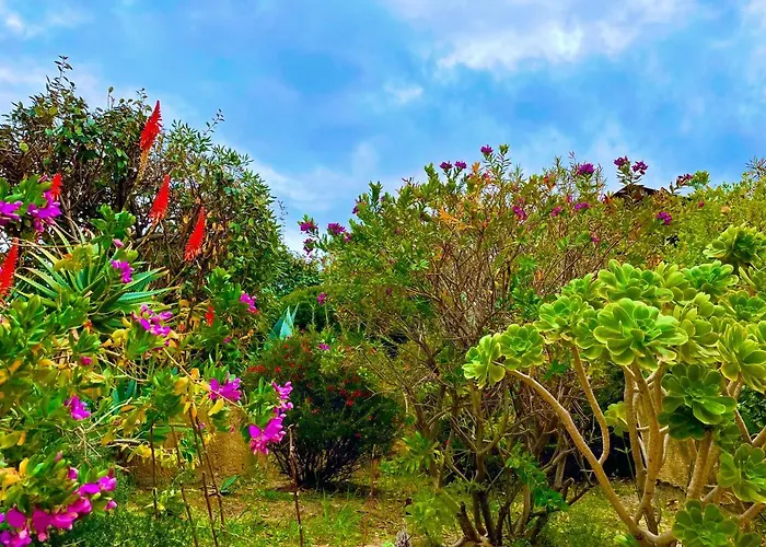 La Risacca - Fronte Mare - Seafront